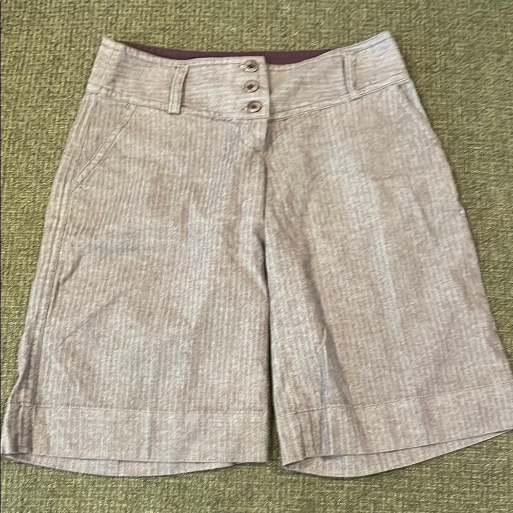 Zinc Purple and Gray Striped Shorts (sz 1)